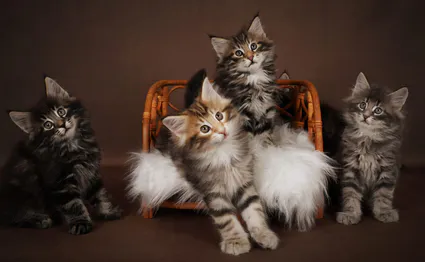 449335290 10211209831879589 5902293324227535045 n