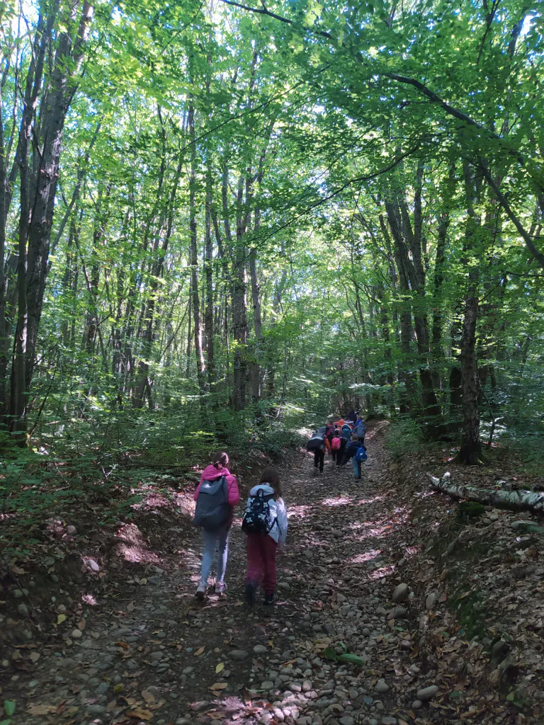 Img 20240916 121006