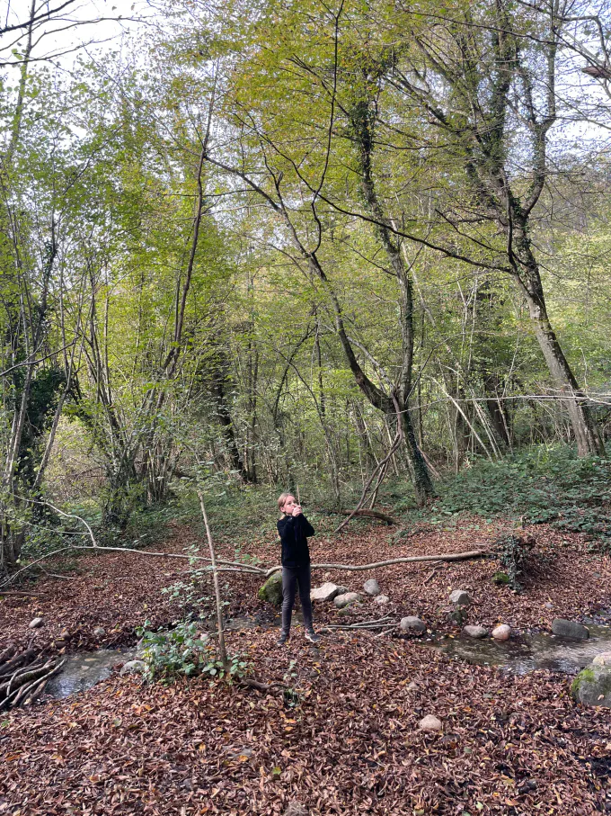 Photo 05 11 2024 15 05 38