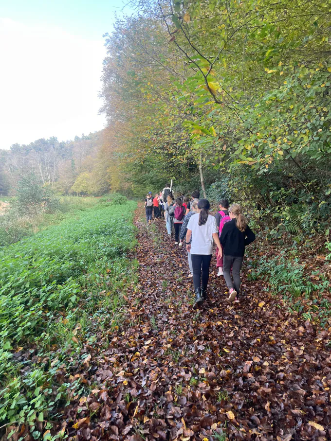 Photo 05 11 2024 14 20 12