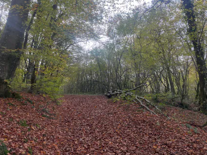 Photo 05 11 2024 14 13 23