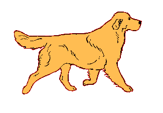 Chien anime 1 