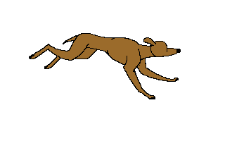 Chien anime 3 