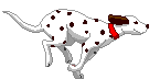 Chien anime 8 