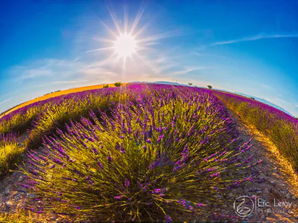 35300655861 1bb21e674d o