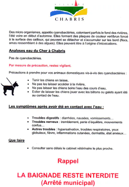 Analyse de l'eau du Cher : pas de cyanobactéries