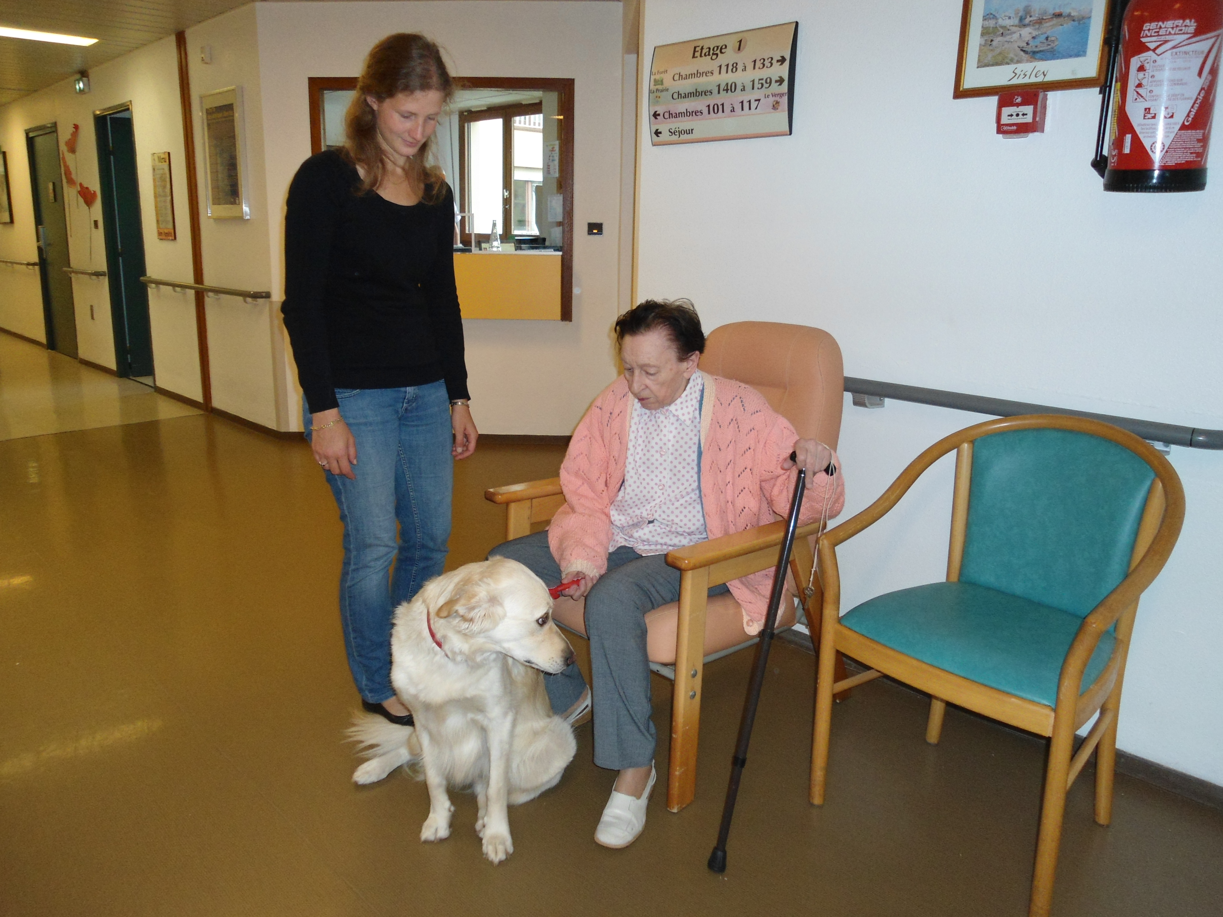 Chien 3