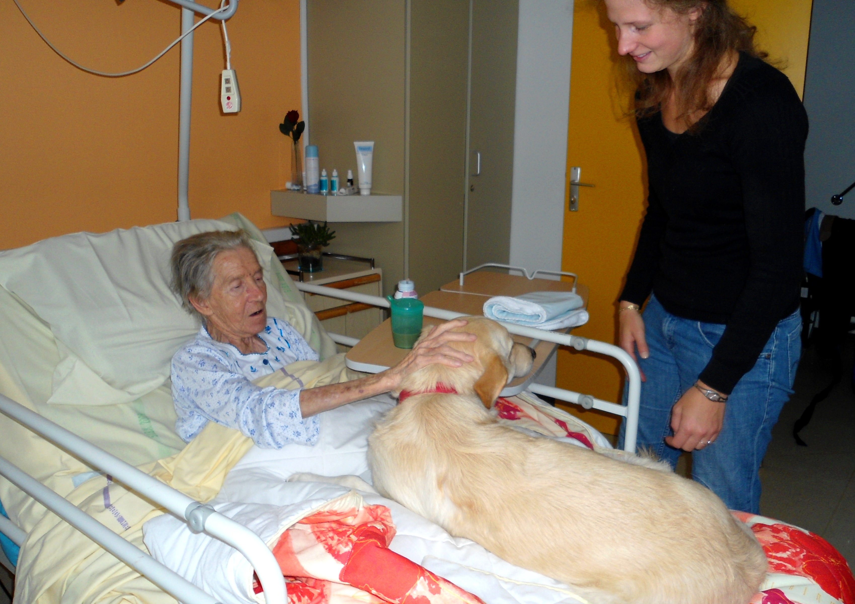 Chien 2