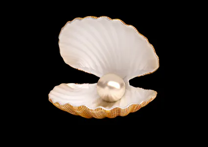 Les clients de Fresquet Charpente sont des perles !