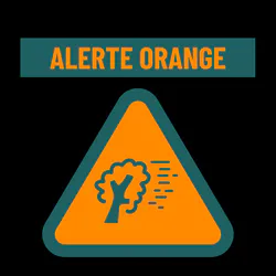 Changements climatiques : un défi croissant pour vos toitures