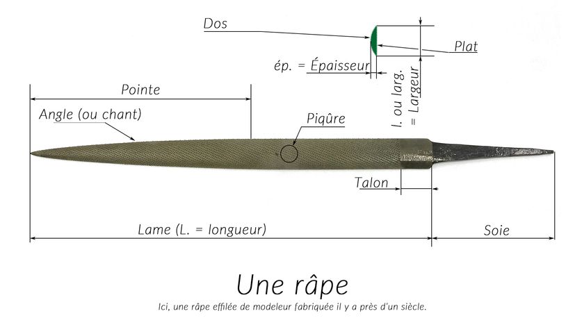 Rape vocabulaire 1920 x 1080