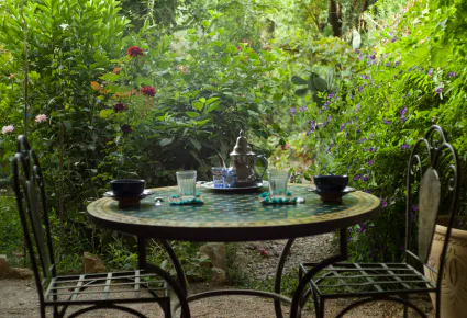 Garden tea 1