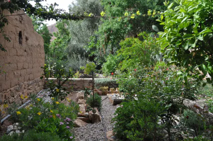 Asg garden