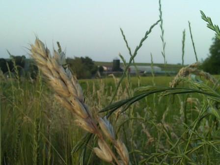 Ferme juin 2014