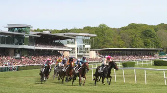COCKTAIL AU LION D'ANGERS