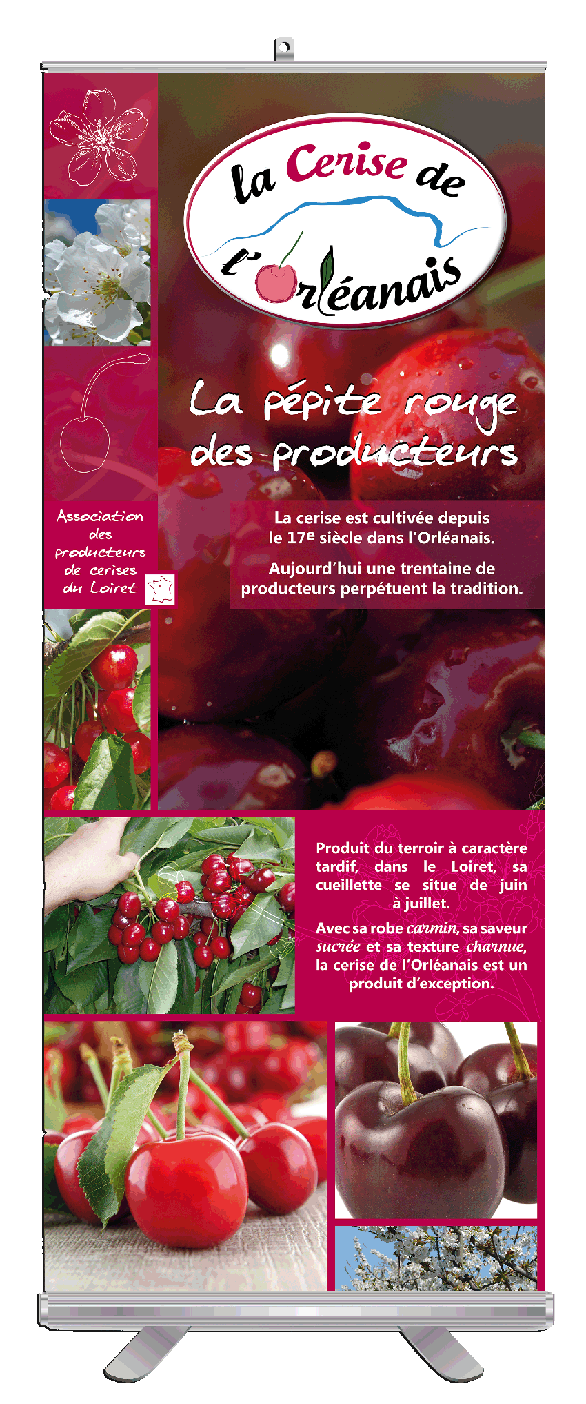 Assp prod roll up final