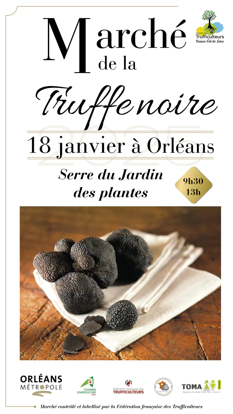 Format numerique metropole copie