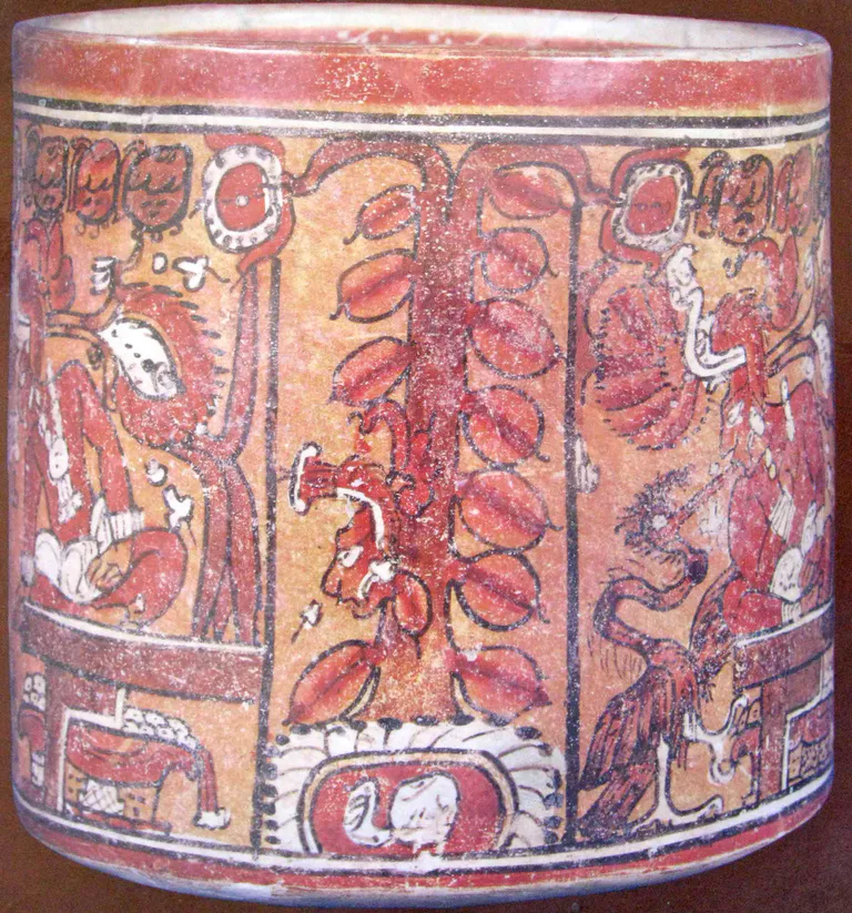 Le cacaoyer maya