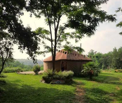 Resized 20220604 1837451