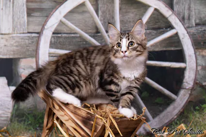 239641682 10208616550489175 6946759145638367769 n