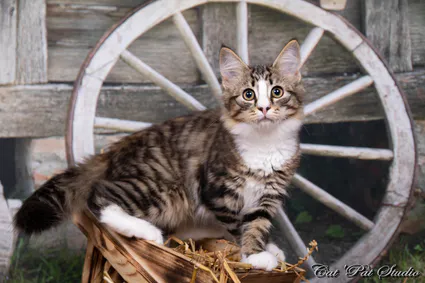 240805481 10208616551129191 1670473692933942549 n