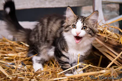 240778497 10208616518568377 4570440287185193170 n