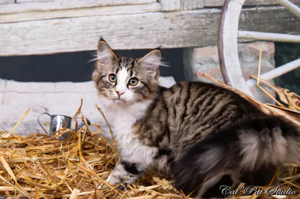 240813234 10208616528248619 2270967978323828163 n