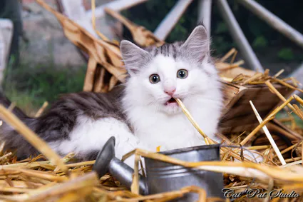 240807604 10208616563929511 5496410000652535712 n