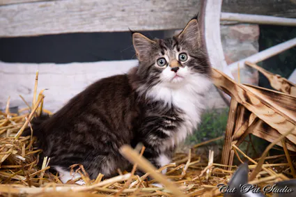 240811799 10208616611770707 491551341853779787 n