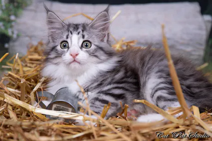 240784649 10208616631571202 1713993939300396764 n