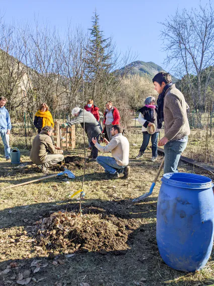 Plantation d'arbres au Barabock