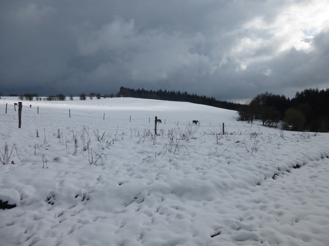 Sartcustinne20150201 3 web