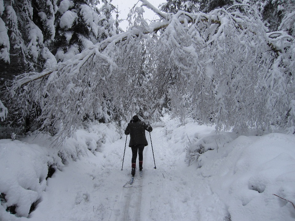 Sartcustinnelacroixscailleskidefond20150201 8 web