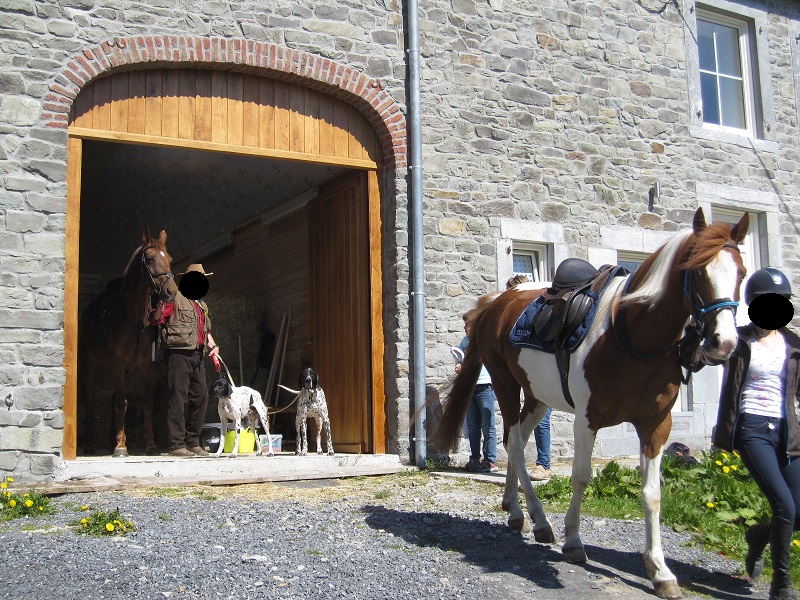 SartCustinne20160505 8 Web