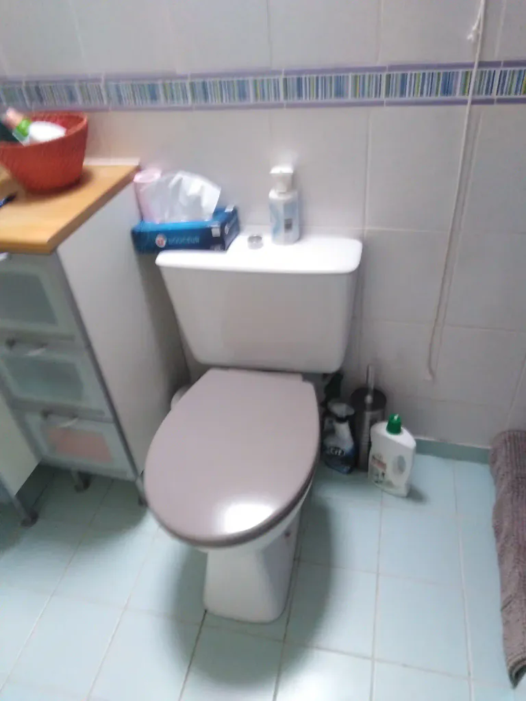 5 photo avant remplacement wc salle de bain aux sorinieres 44