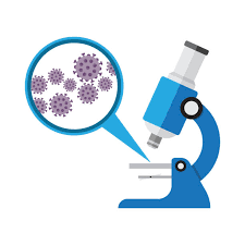 Microscope