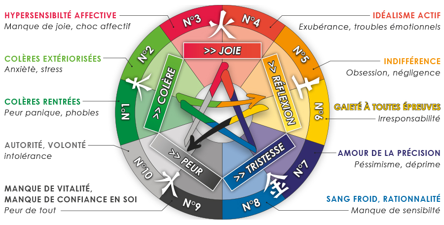 Schema-signature-emotionnelle