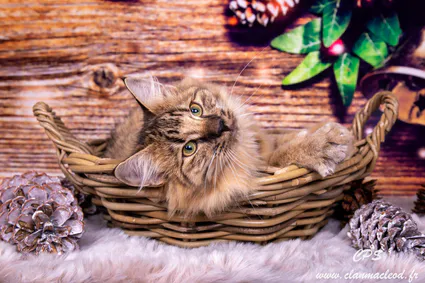 315102735 10209657628395472 1358137906428796919 n