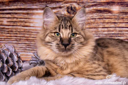 315141204 10209657630435523 8141877864166026861 n