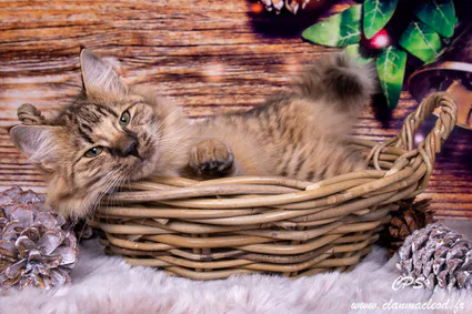 315877426 10209657628075464 6296313701555832095 n