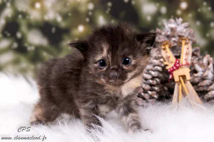 322403660 719421459499663 6516124489453027963 n