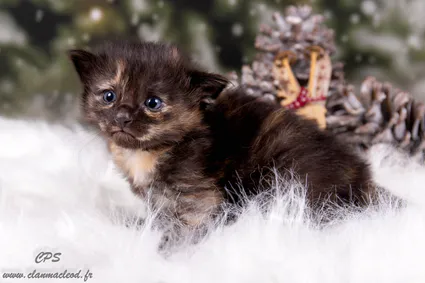 322722018 1226009378270903 8620430065423909472 n