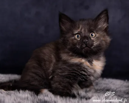 330202368 510553844347716 4201369514642570994 n