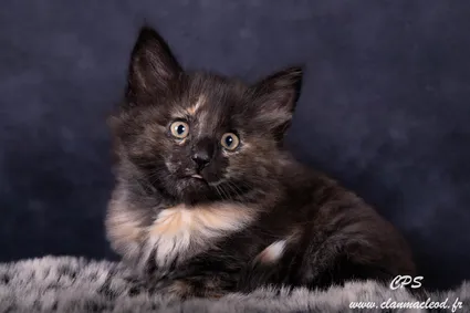 330305248 896807431569707 1978922625052592851 n