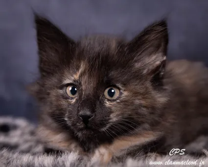 330473175 593530068870741 1700227143856988616 n