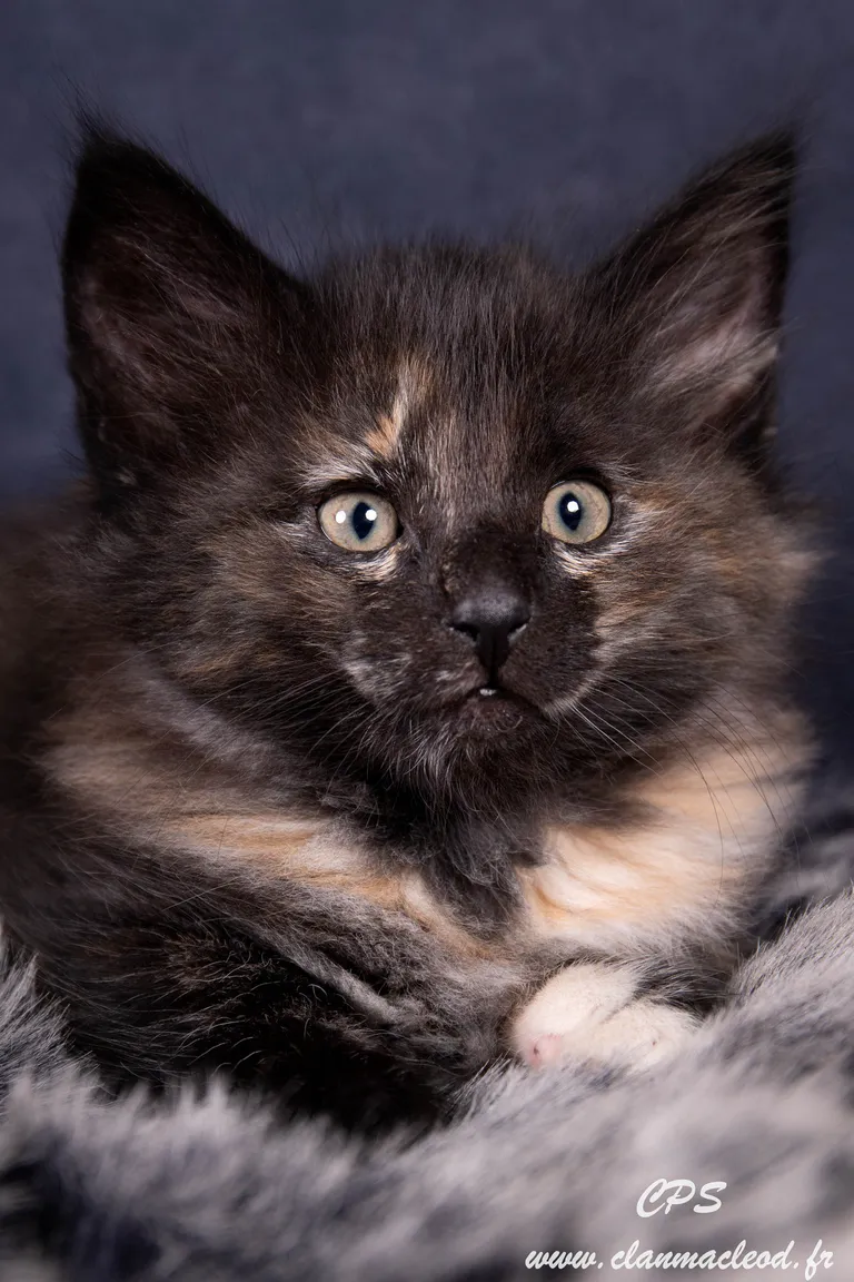 331572155 1015464919840826 5258181477732518233 n