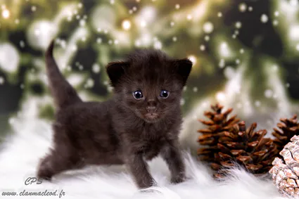 321839939 861917738353755 6429836556337952672 n