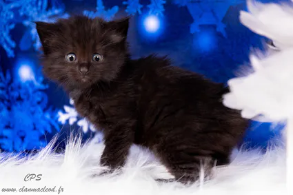 326430644 566220815172441 7900015015412130775 n