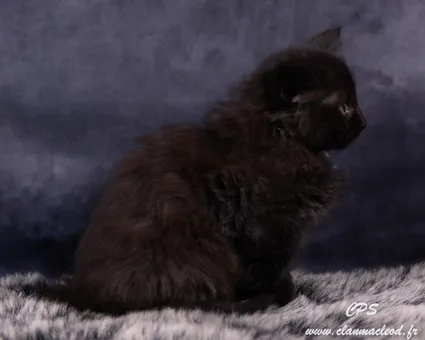 329411217 2084843711708592 4986554982776183067 n