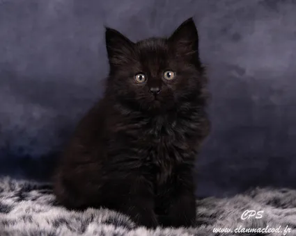 330197847 866824981211604 7484971843745875285 n